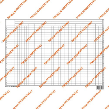 Pátria Nyomtatvány Könyvelési statisztikai gyüjtőív szabadlap 420x295 mm nyomtatvány