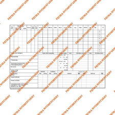 Pátria Nyomtatvány Személyi nyilvántartó tasak 320x220 mm nyomtatvány
