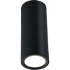 Paulmann 93107 LED Ceiling Barerel mennyezeti lámpa, fekete, 2700K melegfehér, 470 lm, IP20 (PL93107)