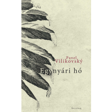Pavel Vilikovský - Egynyári hó egyéb könyv