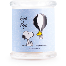  PEANUTS Bye Bye 250 g (4262399020748) gyertya
