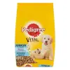 Pedigree Állateledel száraz PEDIGREE Junior Medium kutyáknak csirke 500 g