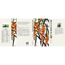 Peking University Press Mo Yan Irodalmi Köztársasága idegen nyelvű könyv