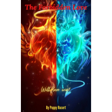 pencil The Forbidden Love egyéb e-könyv