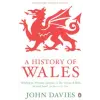 Penguin Books History of Wales | John Davies
