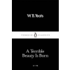 Penguin Books Terrible Beauty Is Born | W B Yeats