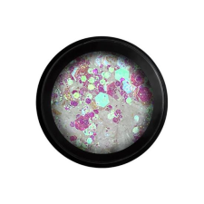 Perfect Nails Körömdíszítő Glitter - Multisize - Inspire 4 körömdíszítő