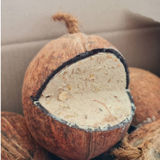 Pet King Kókusz 3/4-es töltött téli madáreleség madáreledel