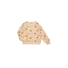 Petit bateau Pulóverek FLOT Sokszínű 4 éves
