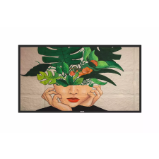 Philips 50BDL4650D/00 monitor