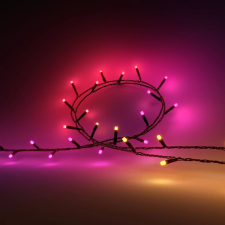 Philips Hue Festavia Philips-8720169246621 kültéri fényfüzér kültéri világítás