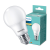 Philips LED izzó E27 A60 8W = 60W 806lm 2700K meleg tejes PHILIPS