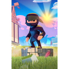 phime studio LLC Mad Dojo (PC - Steam Digitális termékkulcs) videójáték