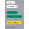 Picador USA Artificial Intelligence | MITCHELL MELANIE