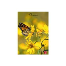 PIGNA Butterflies A4 42 lap, tűzött, kockás füzet (P1111-1281) füzet
