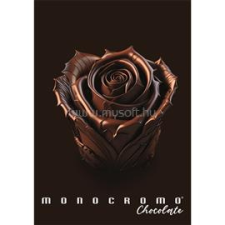 PIGNA Chocolate A4 tűzött 38 lapos vonalas füzet (P1111-2059) füzet