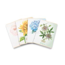 PIGNA Flower Special A4 tűzött 42 lapos kockás füzet (P1111-2066) füzet
