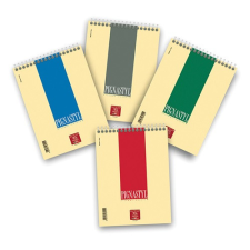 PIGNA Jegyzettömb spirálos Pignastyl A/5 sima 60 lapos füzet