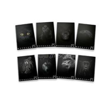 PIGNA Monocromo Black A4 38lapos vonalas füzet (P1111-0386) füzet