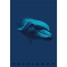 PIGNA Monocromo Blue 38 lapos A4 kockás füzet - Többfajta (P1111-1855) füzet