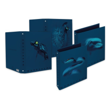 PIGNA Monocromo Blue A4 4 gyűrűs 40 mm gerinsszélességű gyűrűs könyv gyűrűskönyv