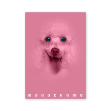 PIGNA Monocromo Pink A4 38 lap, tűzött, vonalas füzet (P1111-1292) füzet