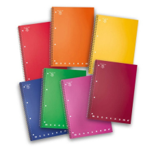 PIGNA Spirálfüzet Pigna Monocromo PPL A/4 80 lapos vonalas füzet