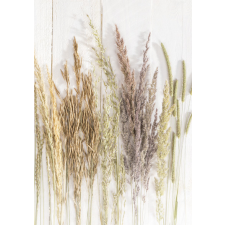 Pillangó Természet Golden Harvest A/4 gumis mappa mappa