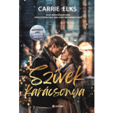 Pioneer Books Szívek karácsonya regény