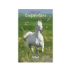  Pippa Funnell - Tilly & Táltos Csapatedzés