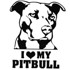  Pitbull autómatrica matrica