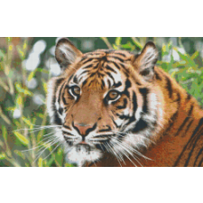  Pixel szett 20 normál alaplappal, színekkel, tigris (820079) kreatív és készségfejlesztő