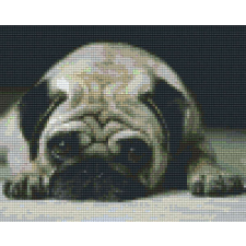 Pixel szett 4 normál alaplappal, színekkel, kutya, bulldog (804224) kreatív és készségfejlesztő