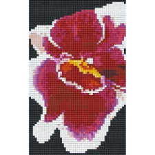 Pixelhobby 802008 Vörös-fehér orchidea szett (10,7x20,3cm) kreatív és készségfejlesztő