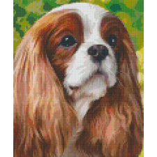  Pixelhobby  806152 Spániel szett 6 alaplapos  (25,4x30,5 cm) kreatív és készségfejlesztő