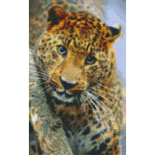  Pixelhobby  808081 Párduc szett 8 alaplapos  (25,4x40,6 cm) kreatív és készségfejlesztő