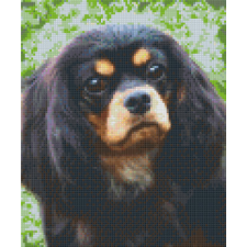 Pixelhobby Pixelhobby 806151 Fekete Spániel szett 6 alaplapos (25,4x30,5 cm) kreatív és készségfejlesztő