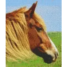Pixelhobby Pixelhobby 806154 Ló szett 6 alaplapos (25,4x30,5 cm) kreatív és készségfejlesztő
