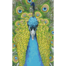 Pixelhobby Pixelhobby 808085 Páva szett 8 alaplapos (25,4x40,6 cm) kreatív és készségfejlesztő