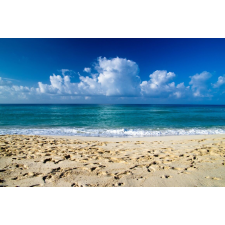  Plaja14 öntapadós tapéta, 250 x 150 cm tapéta, díszléc és más dekoráció