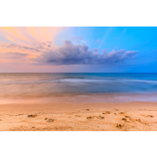  Plaja26 öntapadós és mosható fali tapéta, 300 x 200 cm tapéta, díszléc és más dekoráció