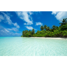  Plaja46 öntapadós és mosható fali tapéta, 300 x 200 cm tapéta, díszléc és más dekoráció