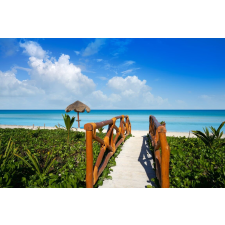  Plaja55 tapéta, 300 x 250 cm tapéta, díszléc és más dekoráció