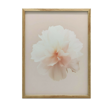 PLAKÁT FALRA ARANY ALUMÍNIUM KERETBEN, PASTELLVIRÁG 40x50 grafika, keretezett kép