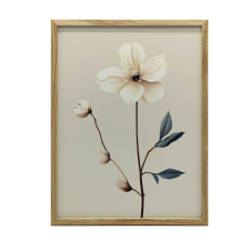 PLAKÁT FALRA ARANY KERETBEN, FEHÉR kökörcsin 50x70 CM MINIMALIZMUS grafika, keretezett kép