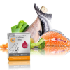 Platinum Menu Turkey + Salmon nedves kutyatáp 375g