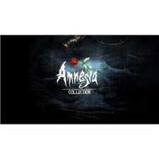 Plug-in-Digital Amnesia Collection - PC DIGITAL videójáték