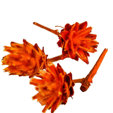  Plumosum fej narancs 10dkg/csomag dekorációs kellék