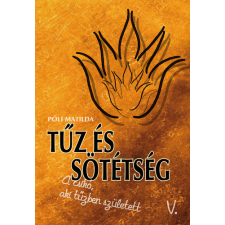 Póli Róbert Tűz és sötétség regény