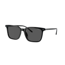 Polo Ralph Lauren PH 4194U 500187